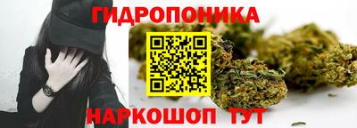 ешки Ставрополь