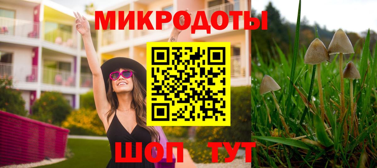 Галлюциногенные грибы MAGIC MUSHROOMS  Вход с VPN  Омск 